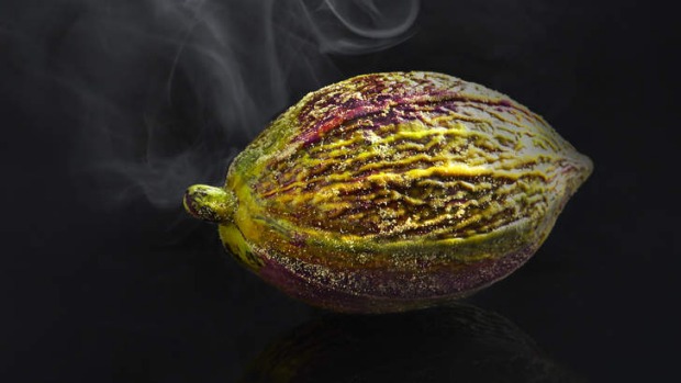 Lume的15道菜以可可豆和小蛋糕结束。