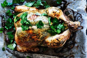 Chicken_460