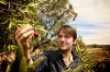 丹麦厨师Rene Redzepi Forages在南澳大利亚访问南东。