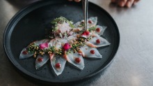 在Yamagen的Tosazu，Shio Kombu和Umeboshi的鲷鱼。