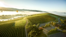 新的Yarra Valley Wineries生产时尚的葡萄酒，不会花费财富。