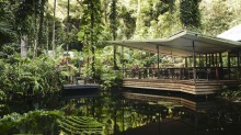 在Daintree Ecolodge的丛林泻湖上用餐。