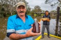 彼得英格拉姆（左）和Don Entriquez（R）钓到Gippsland的水道，将鲤鱼变成鱼酱。